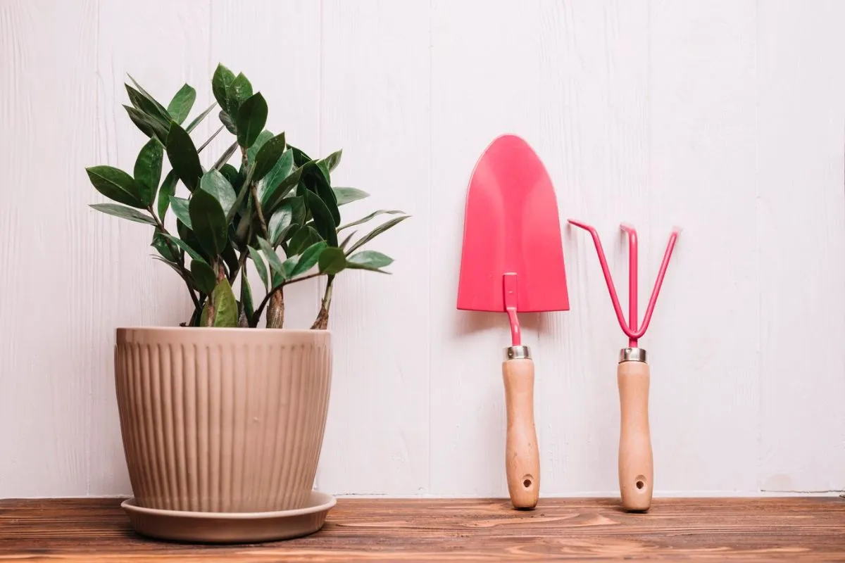 Creating Customizable 3D Printed Garden Tools